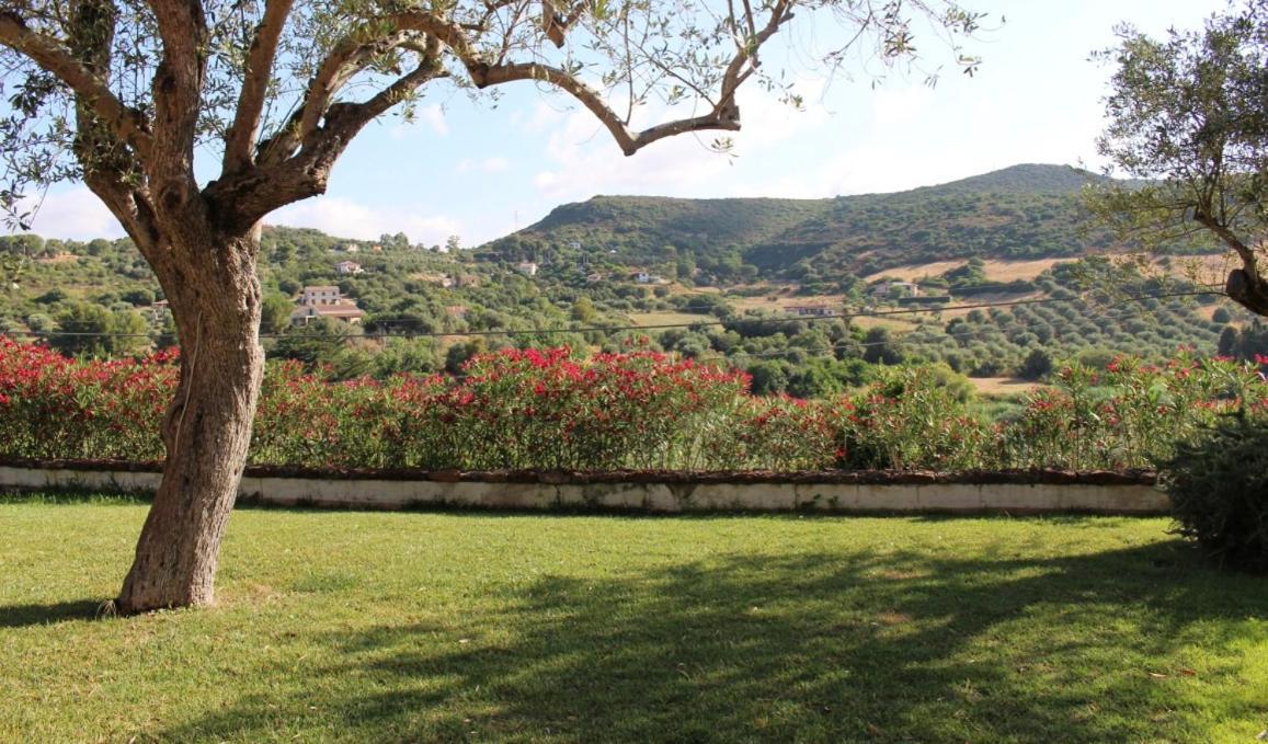 B&B Kapi Country Alghero Eksteriør bilde